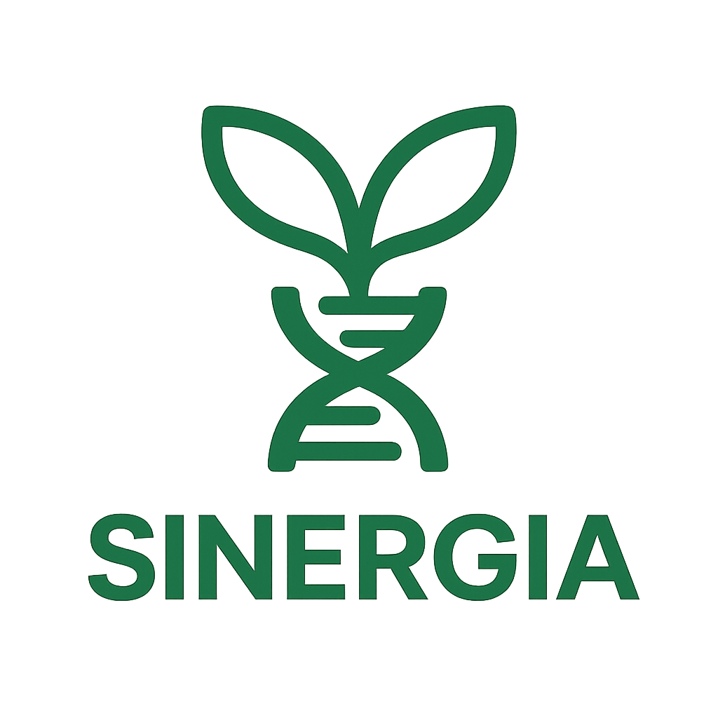 SINERGIA